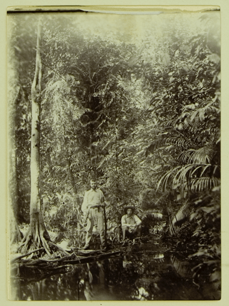 Screen Shot 2017-10-11 at 10.19.21 AM