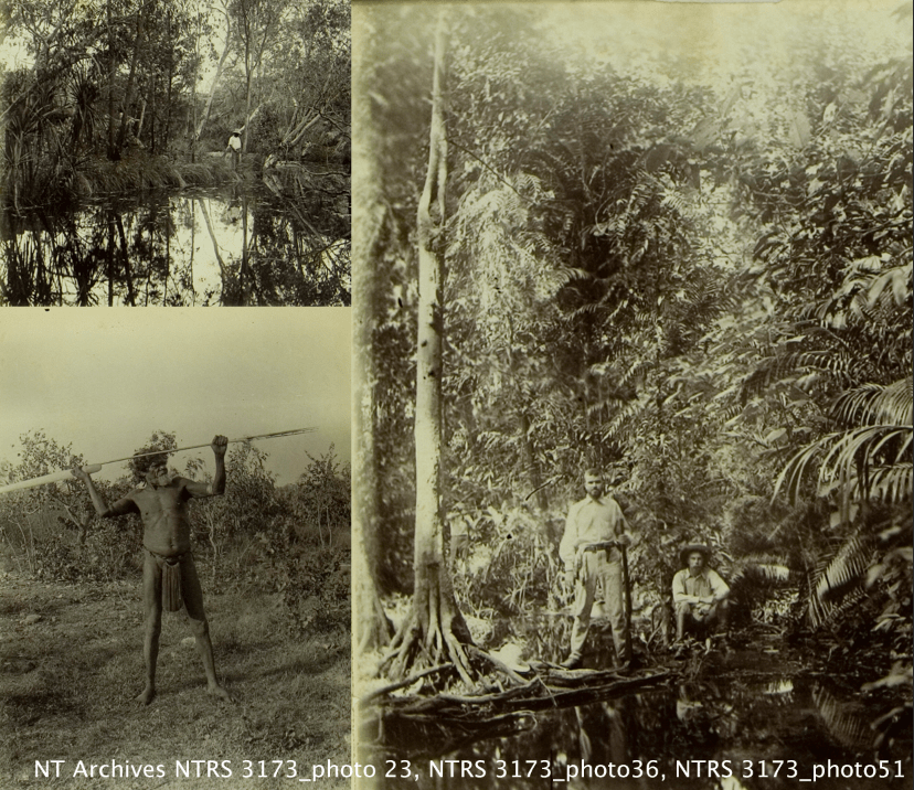 Screen Shot 2017-11-16 at 12.02.34 PM